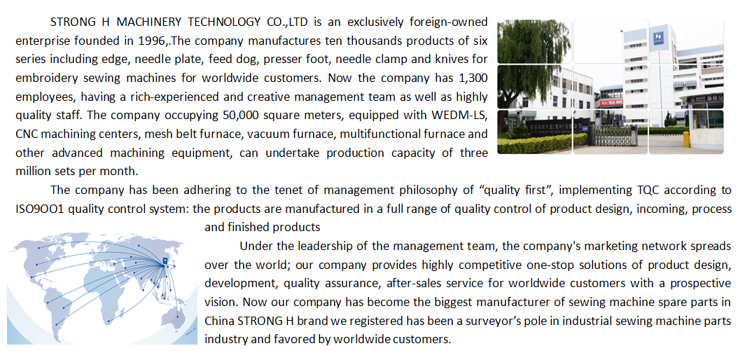 Введение компании Strongh